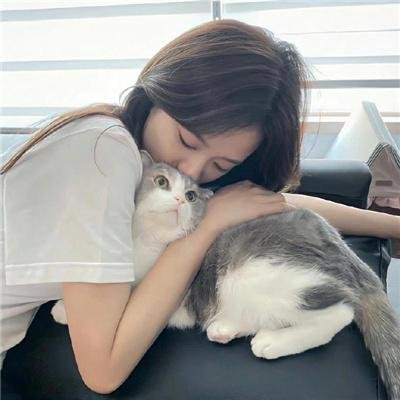 心之所归